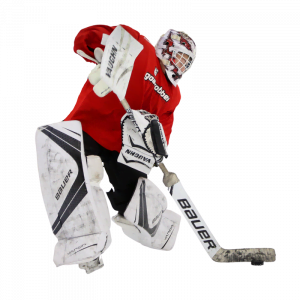 Spring Goalie Clinic